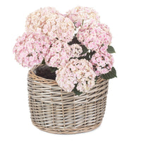 Red Hamper Round Antique Wash Wicker Planter