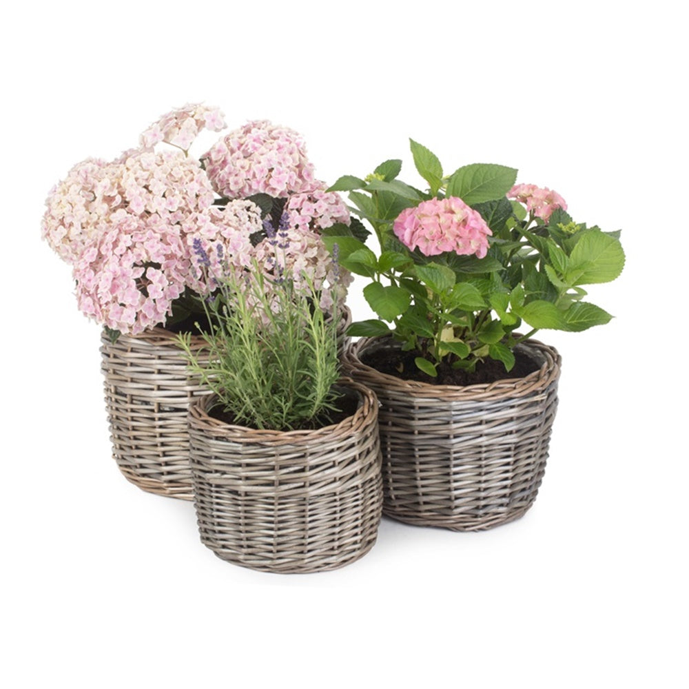 Round Antique Wash Wicker Planter